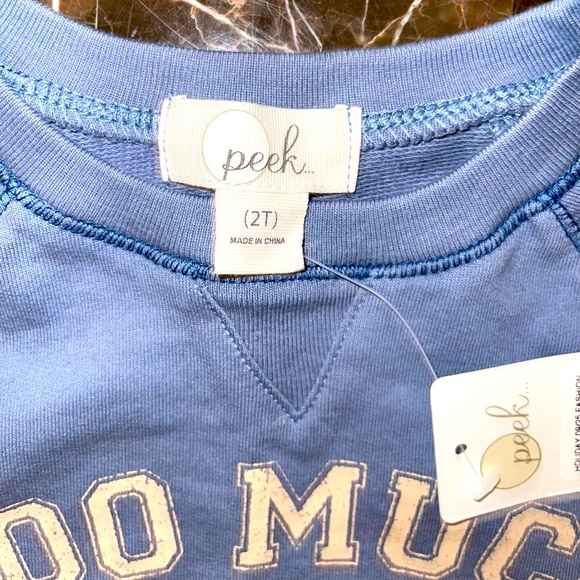 Peek Too Much Boys Sweatshirt Blue Size 2T NWT - Picture 4 of 6
